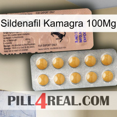Sildenafil Kamagra 100Mg 41